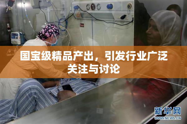 国宝级精品产出，引发行业广泛关注与讨论