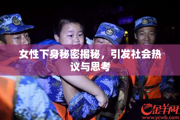 女性下身秘密揭秘，引发社会热议与思考