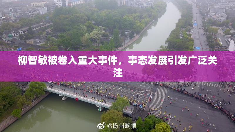 柳智敏被卷入重大事件，事态发展引发广泛关注