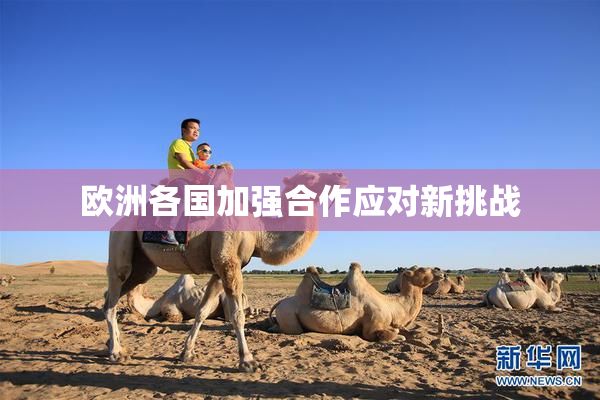 欧洲各国加强合作应对新挑战