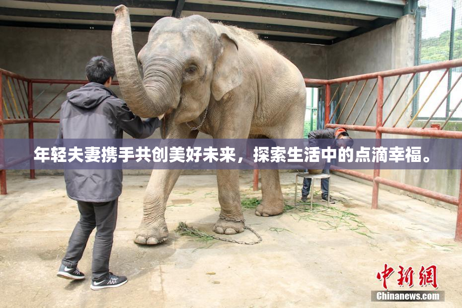 年轻夫妻携手共创美好未来，探索生活中的点滴幸福。