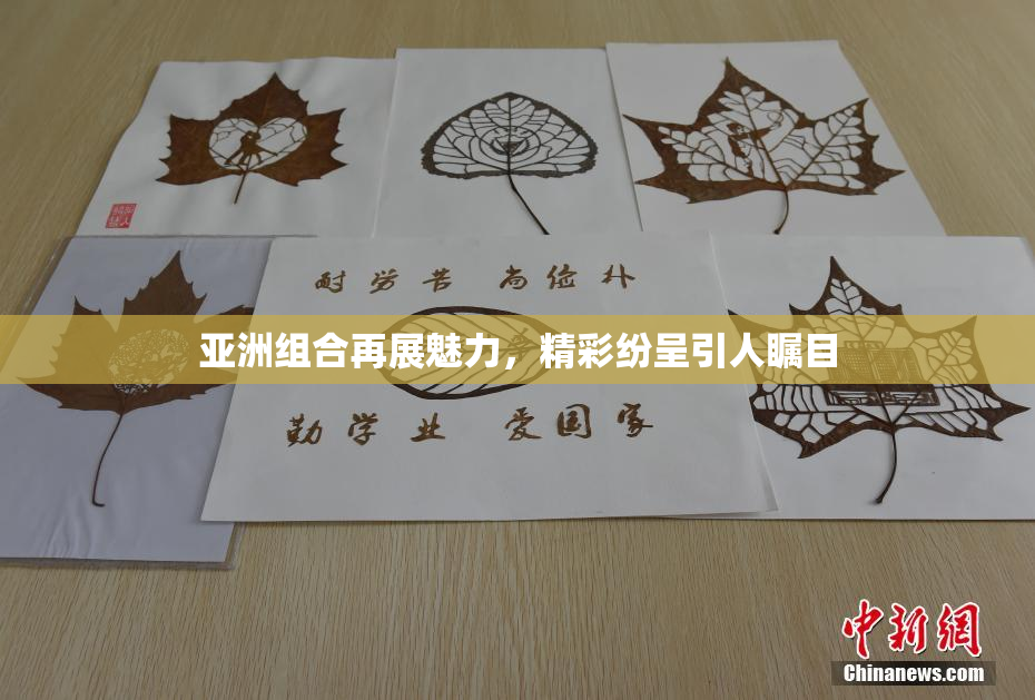 亚洲组合再展魅力，精彩纷呈引人瞩目