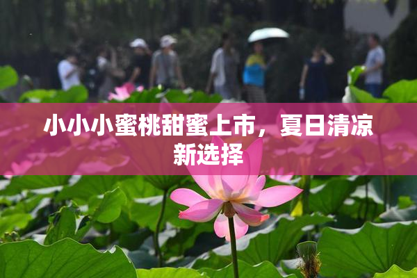 小小小蜜桃甜蜜上市，夏日清凉新选择