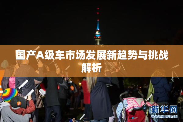 国产A级车市场发展新趋势与挑战解析