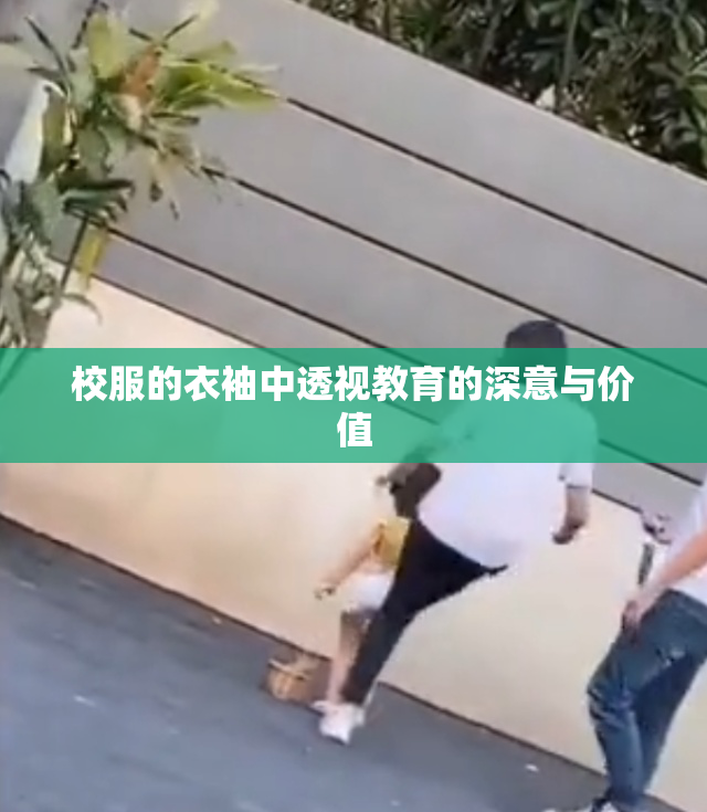校服的衣袖中透视教育的深意与价值
