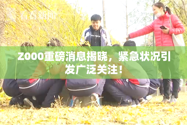 Z000重磅消息揭晓，紧急状况引发广泛关注！