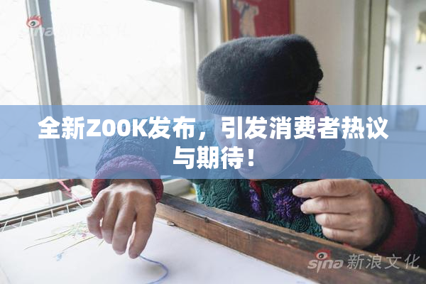 全新Z00K发布，引发消费者热议与期待！