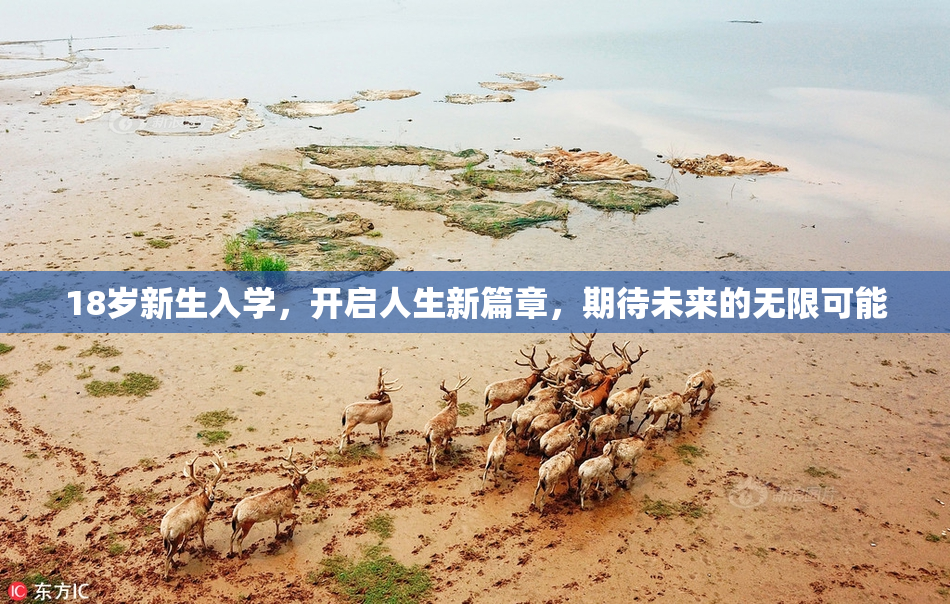 18岁新生入学，开启人生新篇章，期待未来的无限可能