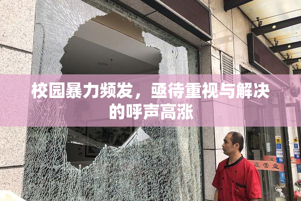校园暴力频发，亟待重视与解决的呼声高涨