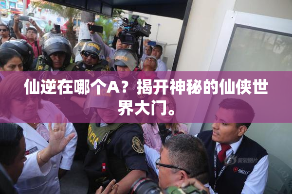 仙逆在哪个A？揭开神秘的仙侠世界大门。