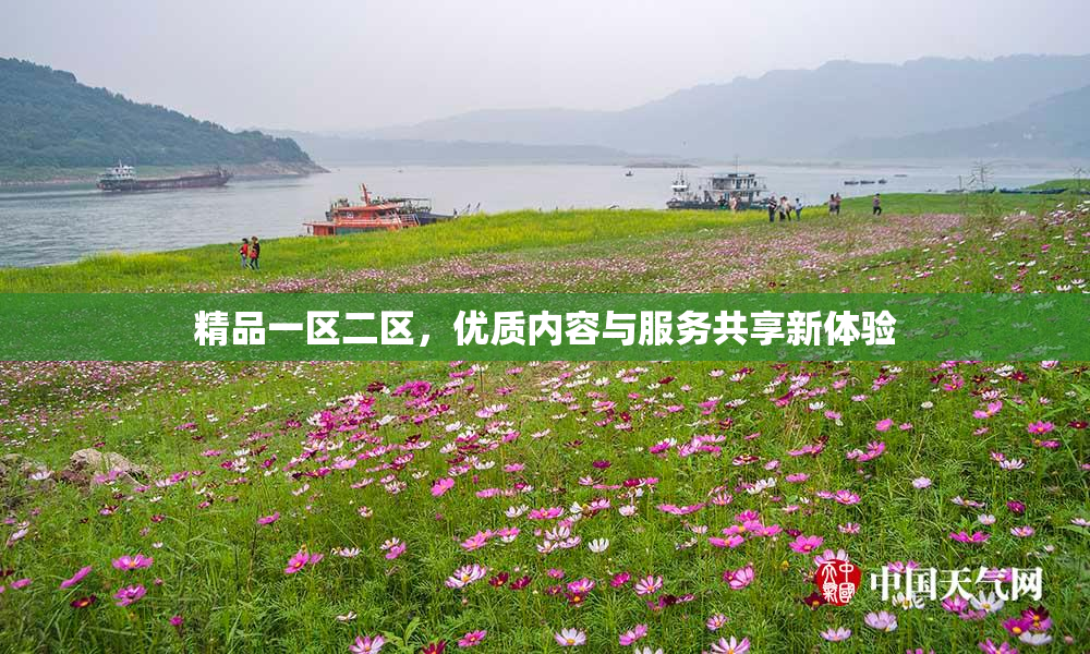 精品一区二区，优质内容与服务共享新体验