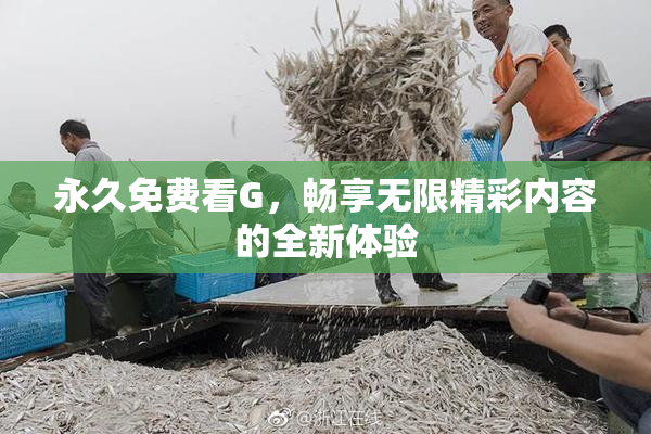 永久免费看G，畅享无限精彩内容的全新体验