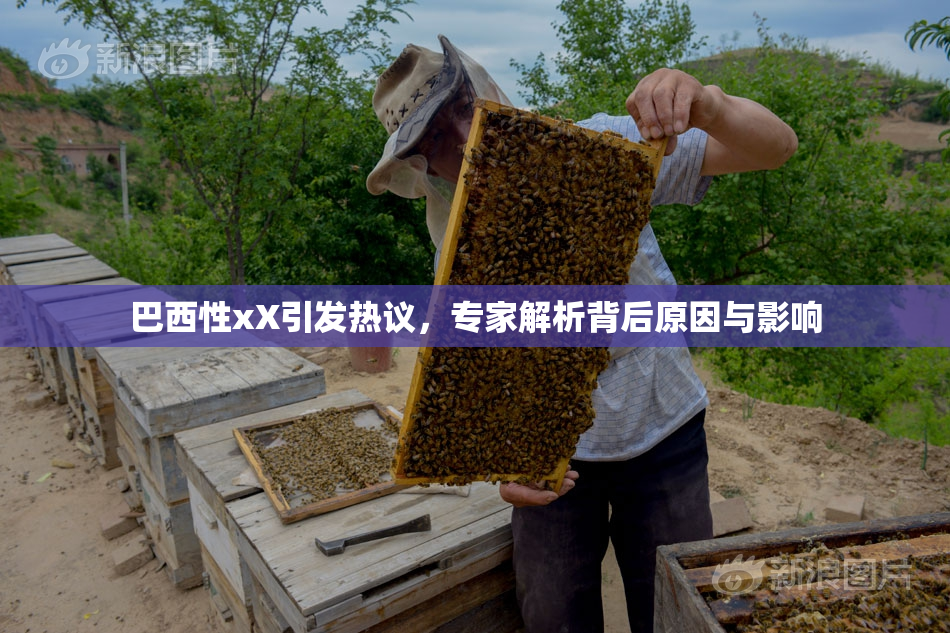 巴西性xX引发热议，专家解析背后原因与影响