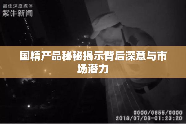 国精产品秘秘揭示背后深意与市场潜力