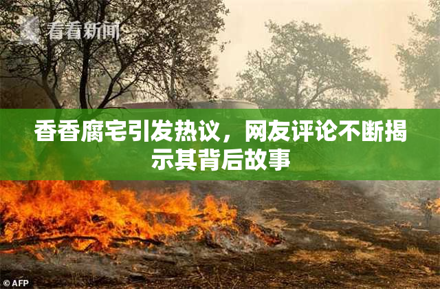 香香腐宅引发热议，网友评论不断揭示其背后故事
