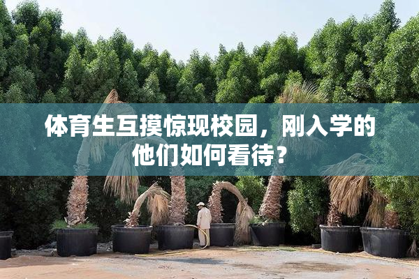 体育生互摸惊现校园，刚入学的他们如何看待？