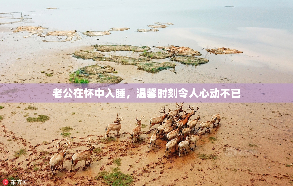 老公在怀中入睡，温馨时刻令人心动不已