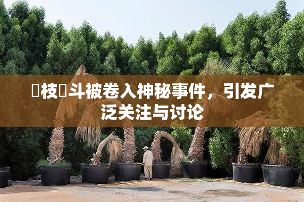 狛枝凪斗被卷入神秘事件，引发广泛关注与讨论