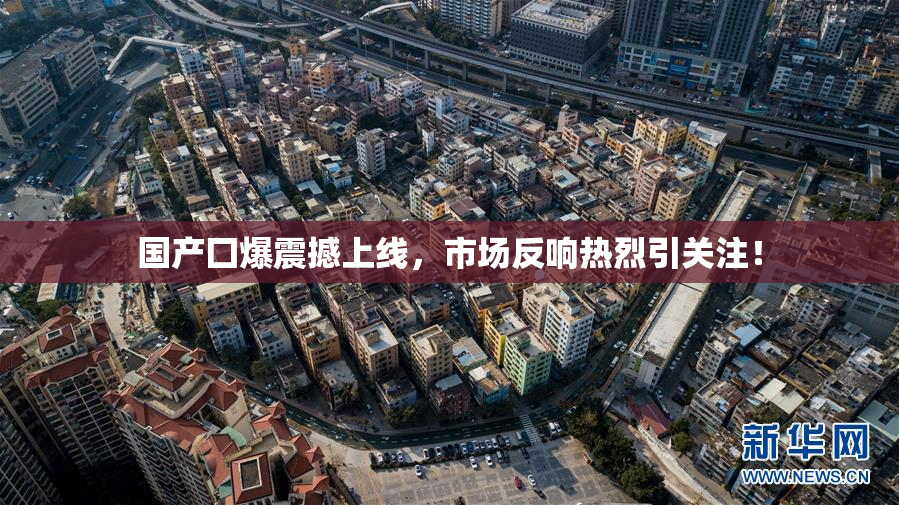 国产囗爆震撼上线，市场反响热烈引关注！
