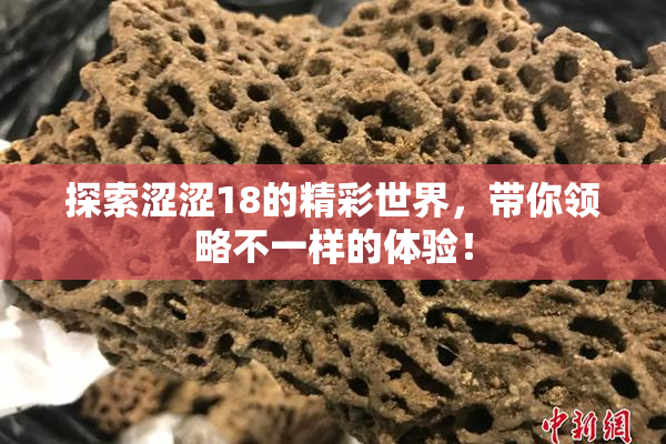 探索涩涩18的精彩世界，带你领略不一样的体验！