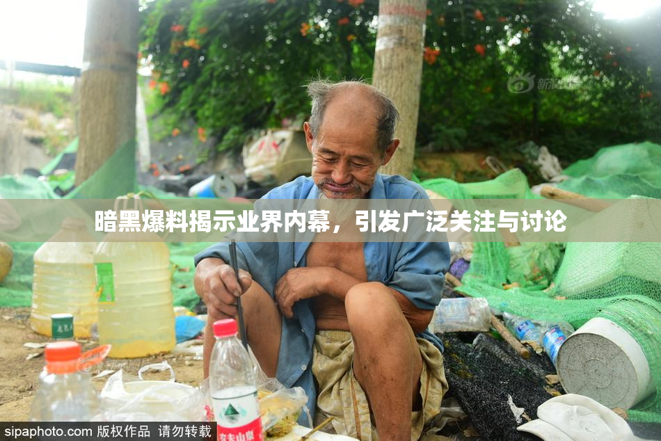 暗黑爆料揭示业界内幕，引发广泛关注与讨论