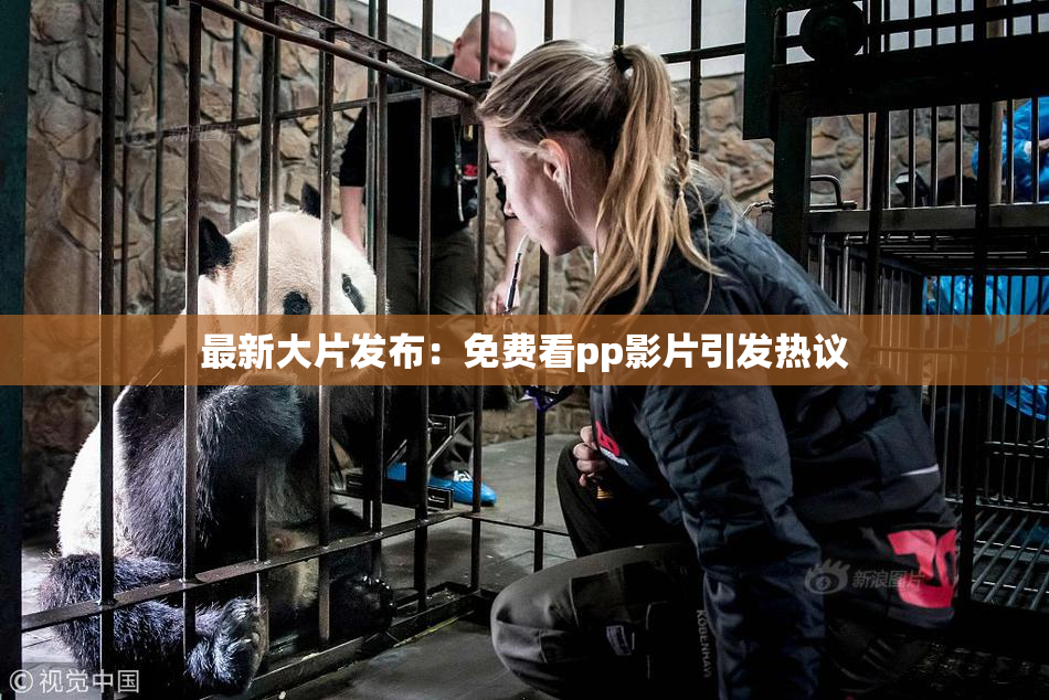 最新大片发布：免费看pp影片引发热议