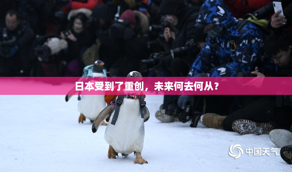 日本受到了重创，未来何去何从？