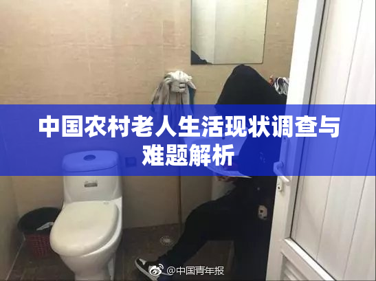 中国农村老人生活现状调查与难题解析