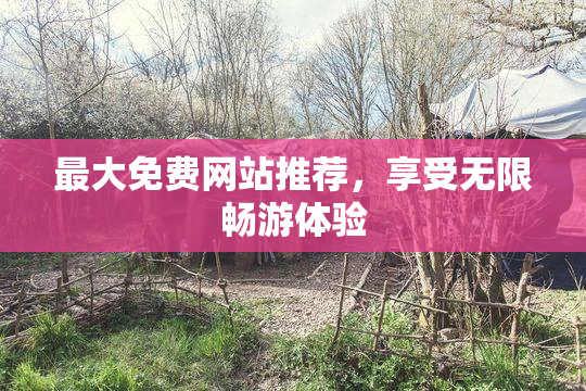 最大免费网站推荐，享受无限畅游体验