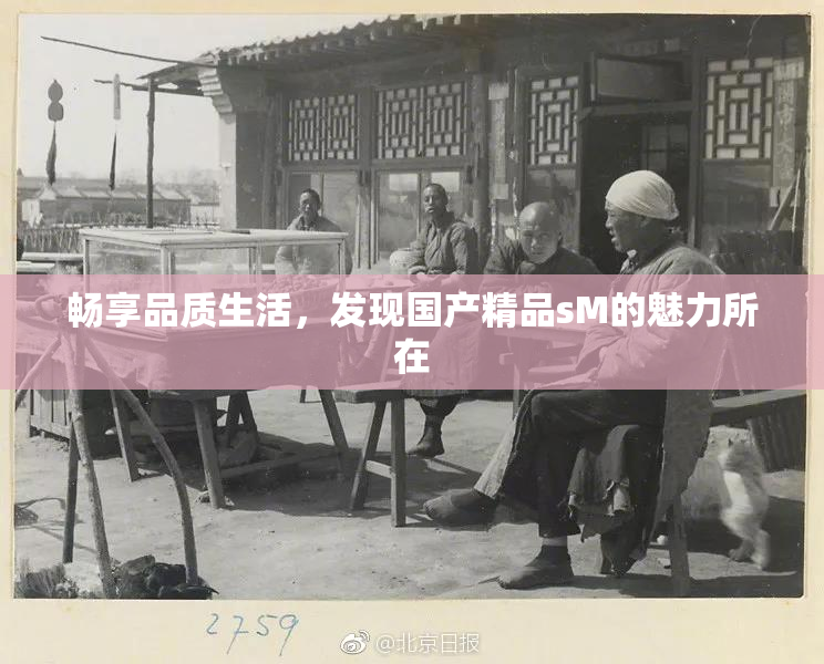 畅享品质生活，发现国产精品sM的魅力所在