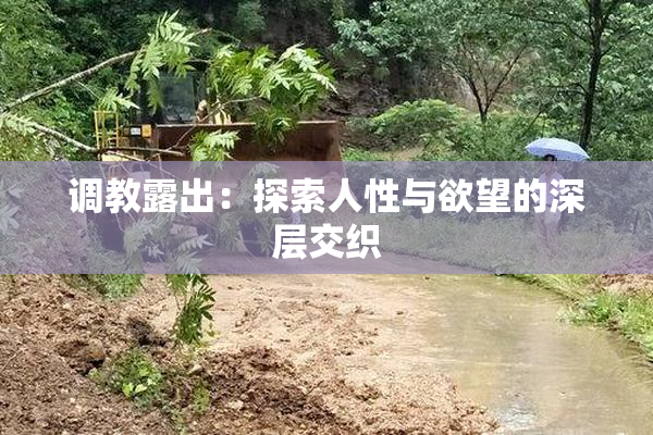 调教露出：探索人性与欲望的深层交织