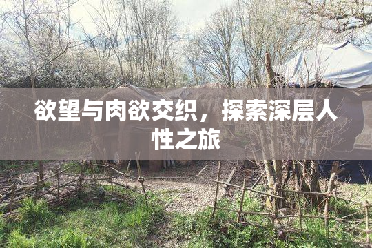 欲望与肉欲交织，探索深层人性之旅