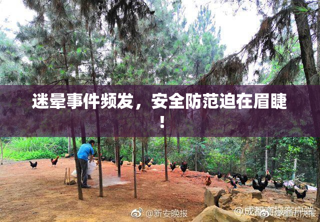 迷晕事件频发，安全防范迫在眉睫！