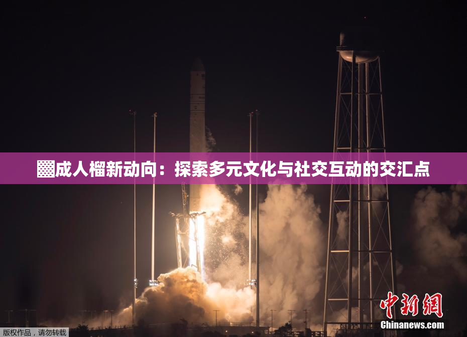 ▓成人榴新动向：探索多元文化与社交互动的交汇点