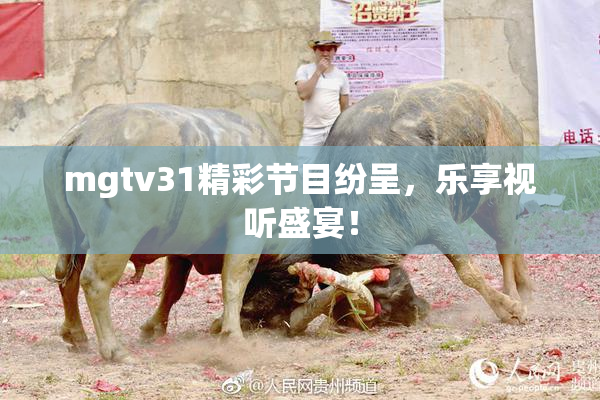 mgtv31精彩节目纷呈，乐享视听盛宴！