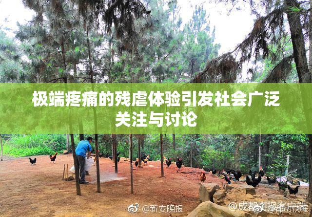 极端疼痛的残虐体验引发社会广泛关注与讨论