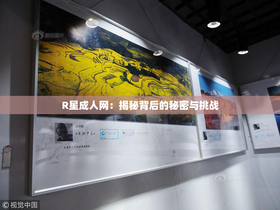 R星成人网：揭秘背后的秘密与挑战