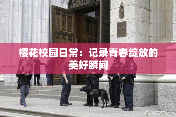 樱花校园日常：记录青春绽放的美好瞬间