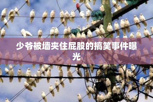 少爷被墙夹住屁股的搞笑事件曝光