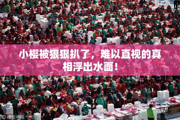 小樱被狠狠扒了，难以直视的真相浮出水面！