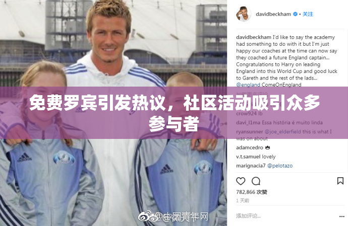 免费罗宾引发热议，社区活动吸引众多参与者