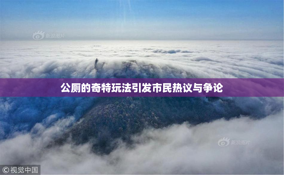 公厕的奇特玩法引发市民热议与争论