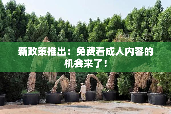 新政策推出：免费看成人内容的机会来了！