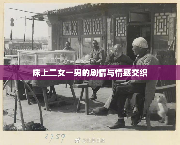 床上二女一男的剧情与情感交织