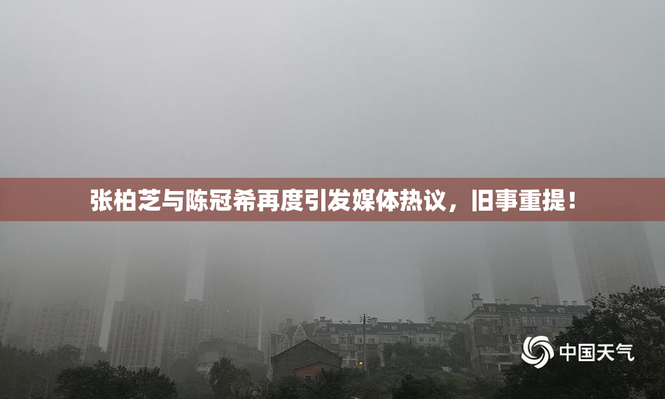 张柏芝与陈冠希再度引发媒体热议，旧事重提！