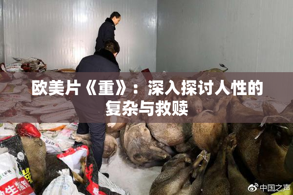 欧美片《重》：深入探讨人性的复杂与救赎