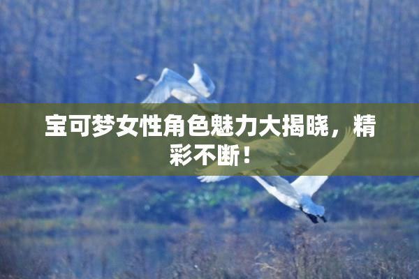 宝可梦女性角色魅力大揭晓，精彩不断！
