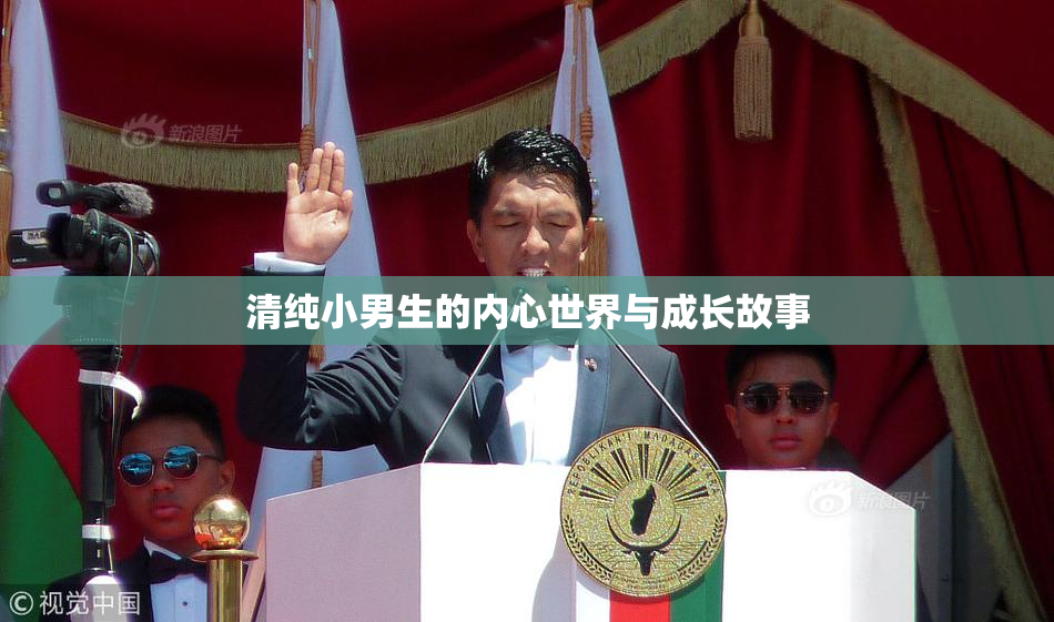 清纯小男生的内心世界与成长故事