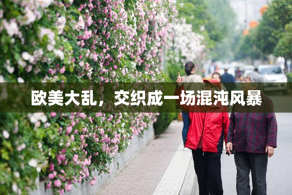 欧美大乱，交织成一场混沌风暴