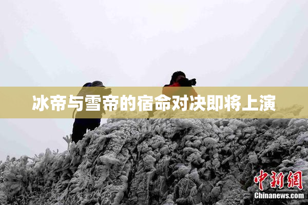冰帝与雪帝的宿命对决即将上演